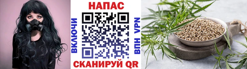 Цена Новый Уренгой КОКАИН  СОЛЬ  ГАШИШ  Каннабис  Меф 