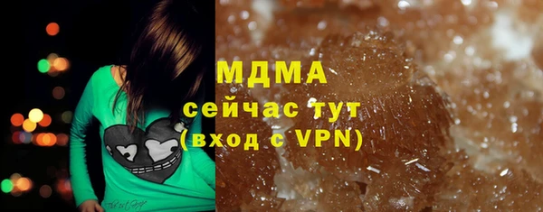 шишки Белокуриха