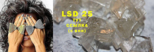 стафф Богданович