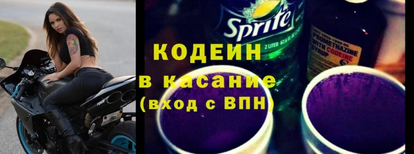 шишки Белокуриха
