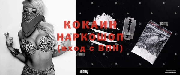 шишки Белокуриха