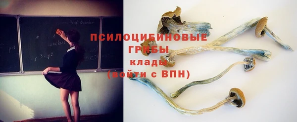 винт Богородицк