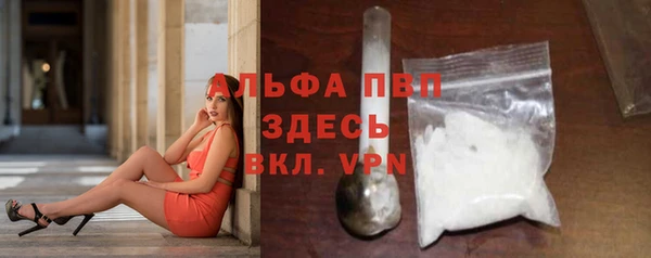 шишки Белокуриха