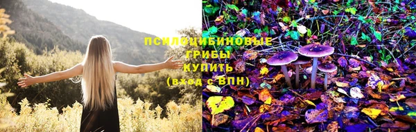 шишки Белокуриха
