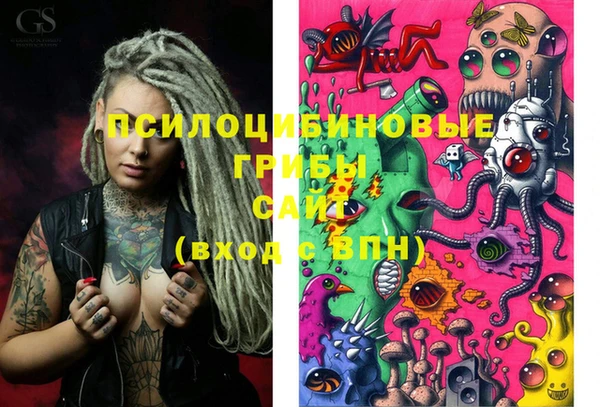 дживик Белоозёрский