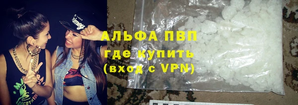 шишки Белокуриха