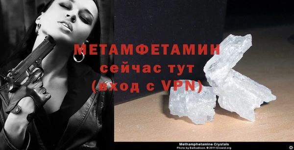 шишки Белокуриха