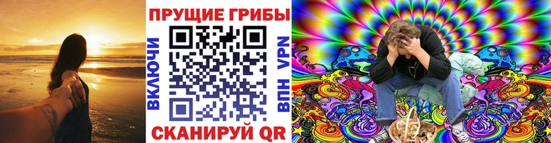 купить Новый Уренгой Галлюциногенные грибы GOLDEN TEACHER